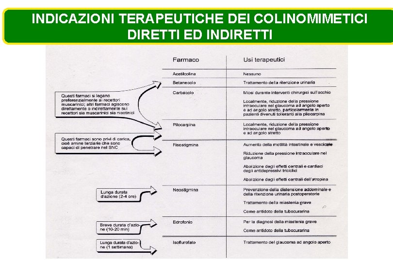 INDICAZIONI TERAPEUTICHE DEI COLINOMIMETICI DIRETTI ED INDIRETTI 