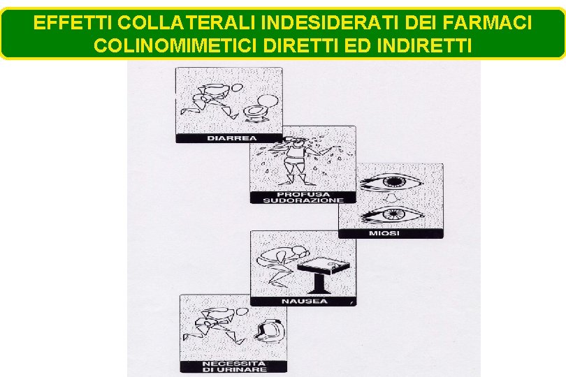 EFFETTI COLLATERALI INDESIDERATI DEI FARMACI COLINOMIMETICI DIRETTI ED INDIRETTI 