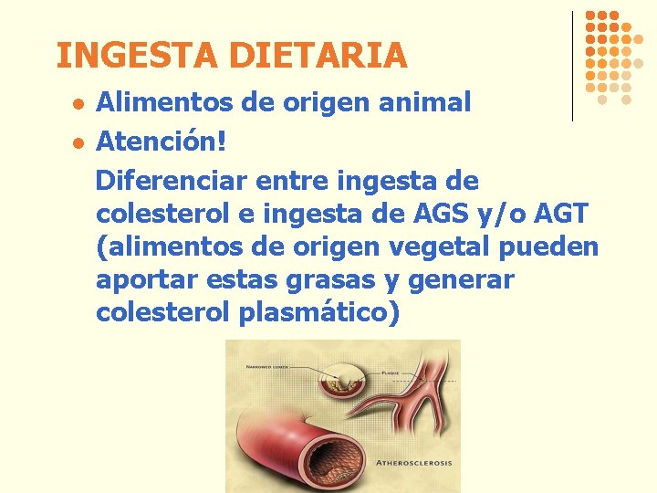 INGESTA DIETARIA l l Alimentos de origen animal Atención! Diferenciar entre ingesta de colesterol