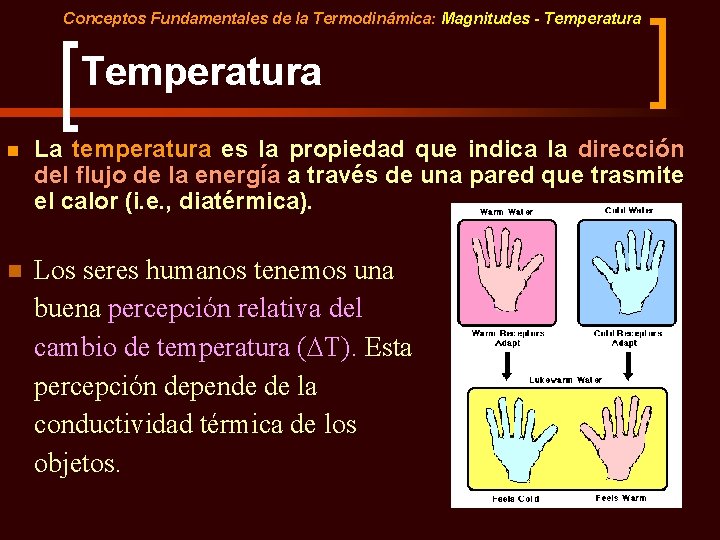 Conceptos Fundamentales de la Termodinámica: Magnitudes - Temperatura n La temperatura es la propiedad