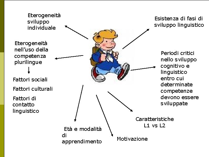 Eterogeneità sviluppo individuale Esistenza di fasi di sviluppo linguistico Eterogeneità nell’uso della competenza plurilingue