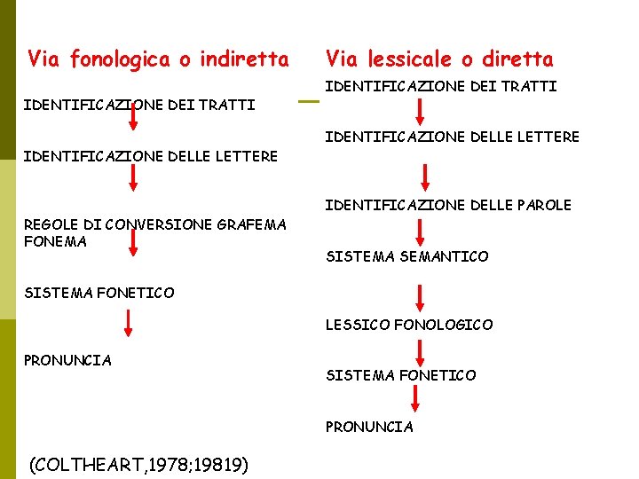 Via fonologica o indiretta IDENTIFICAZIONE DEI TRATTI IDENTIFICAZIONE DELLE LETTERE REGOLE DI CONVERSIONE GRAFEMA