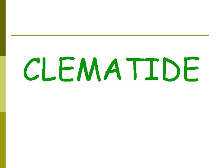 CLEMATIDE 