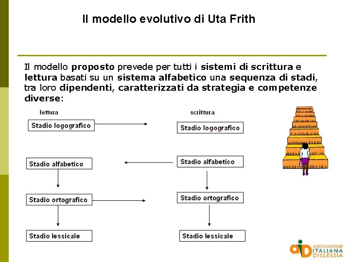 Il modello evolutivo di Uta Frith Il modello proposto prevede per tutti i sistemi