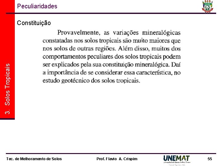 Peculiaridades 3. Solos Tropicais Constituição Tec. de Melhoramento de Solos Prof. Flavio A. Crispim