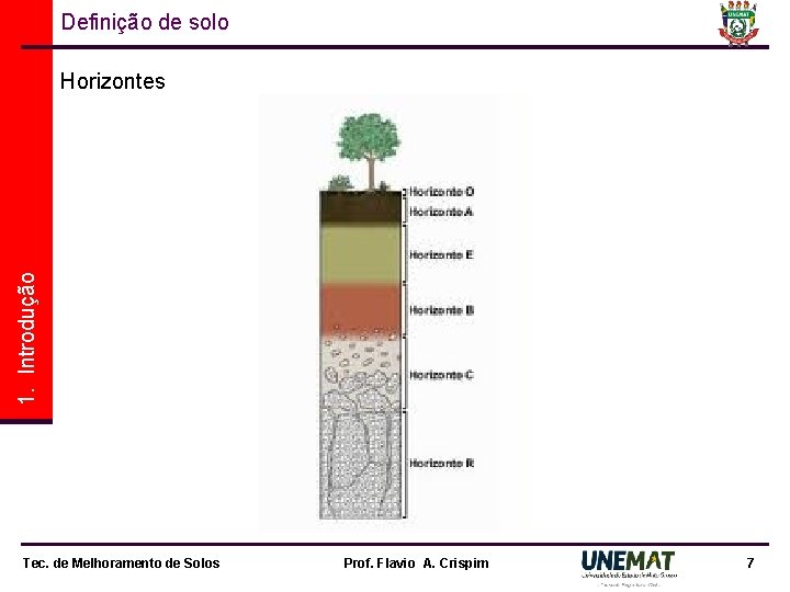 Definição de solo 1. Introdução Horizontes Tec. de Melhoramento de Solos Prof. Flavio A.