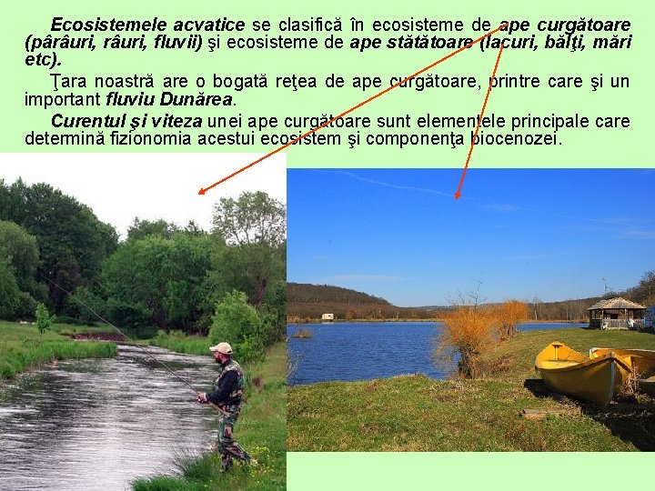 Ecosistemele acvatice se clasifică în ecosisteme de ape curgătoare (pârâuri, fluvii) şi ecosisteme de