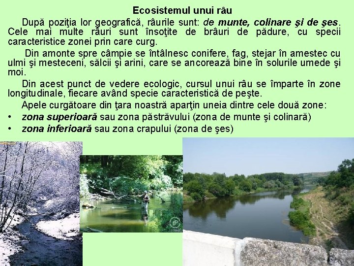 Ecosistemul unui râu După poziţia lor geografică, râurile sunt: de munte, colinare şi de