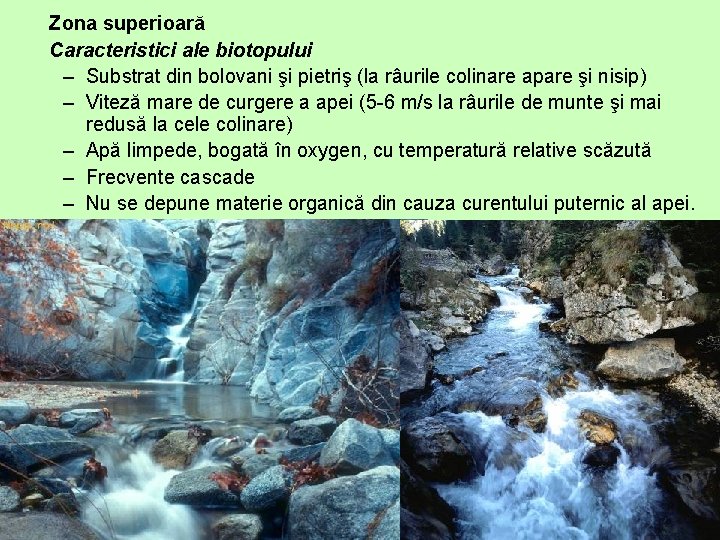 Zona superioară Caracteristici ale biotopului – Substrat din bolovani şi pietriş (la râurile colinare