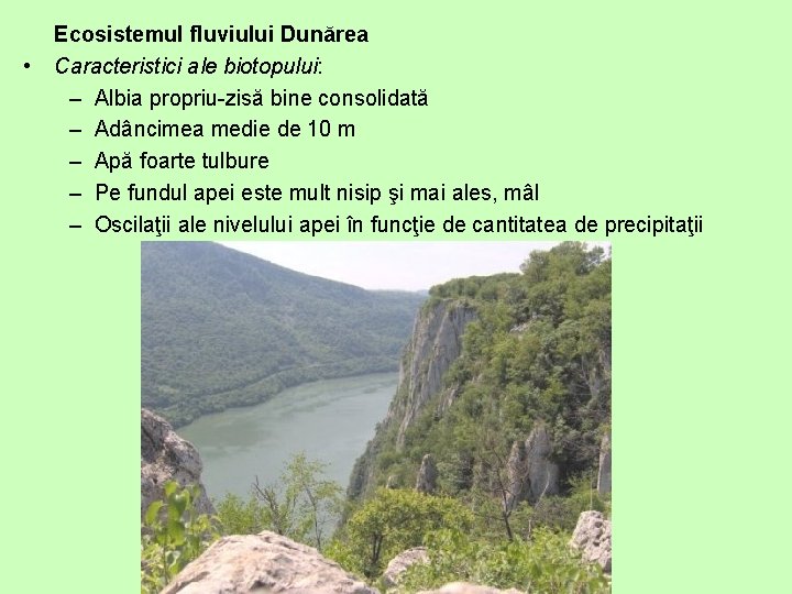  • Ecosistemul fluviului Dunărea Caracteristici ale biotopului: – Albia propriu-zisă bine consolidată –