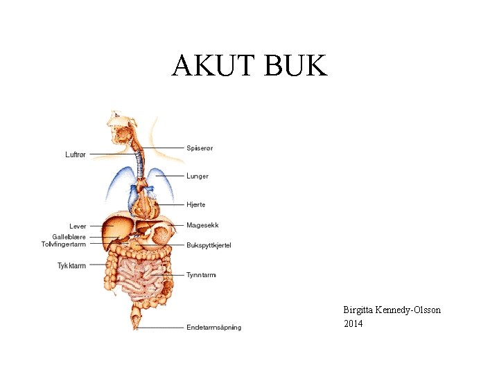 AKUT BUK Birgitta Kennedy-Olsson 2014 