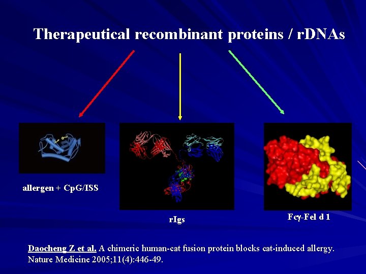 Therapeutical recombinant proteins / r. DNAs allergen + Cp. G/ISS r. Igs Fcg-Fel d