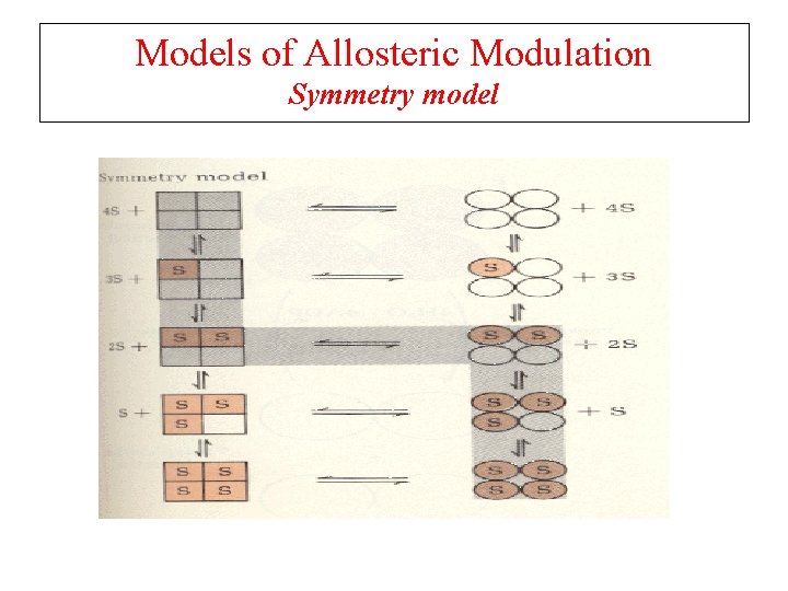 Models of Allosteric Modulation Symmetry model 