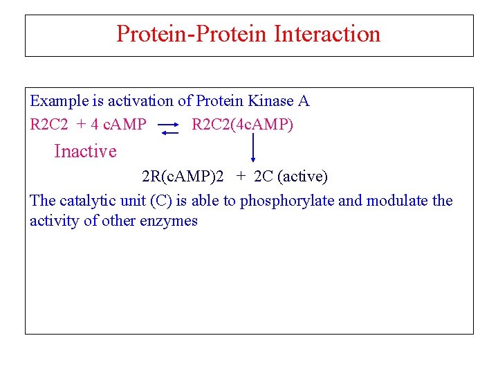 Protein-Protein Interaction Example is activation of Protein Kinase A R 2 C 2 +