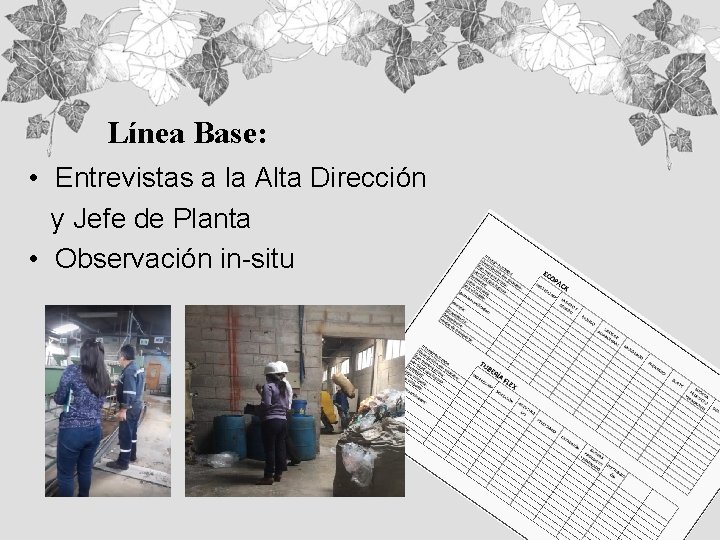 Línea Base: • Entrevistas a la Alta Dirección y Jefe de Planta • Observación