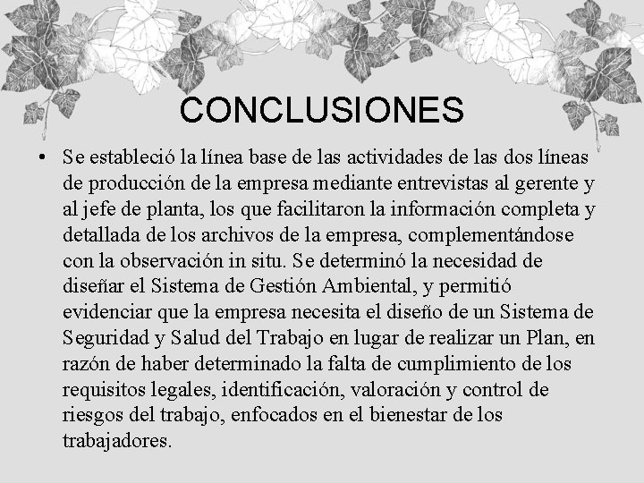 CONCLUSIONES • Se estableció la línea base de las actividades de las dos líneas