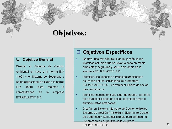 Objetivos: ❑ Objetivos Específicos ❑ Objetivo General • Realizar una revisión inicial de la