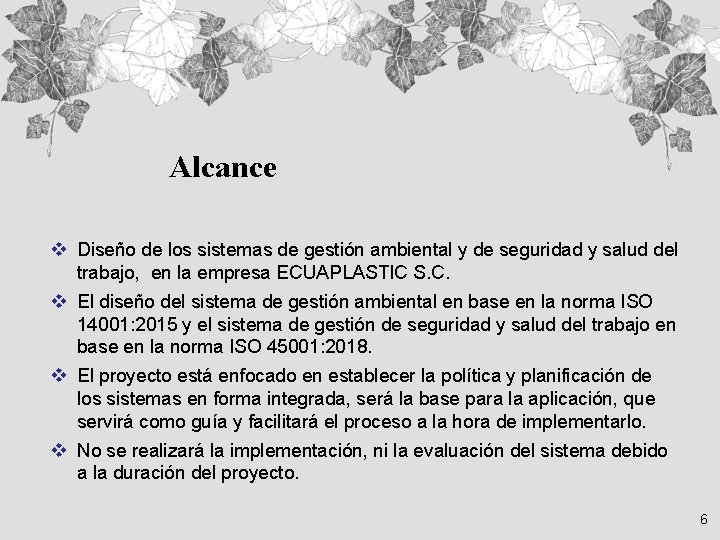 Alcance v Diseño de los sistemas de gestión ambiental y de seguridad y salud