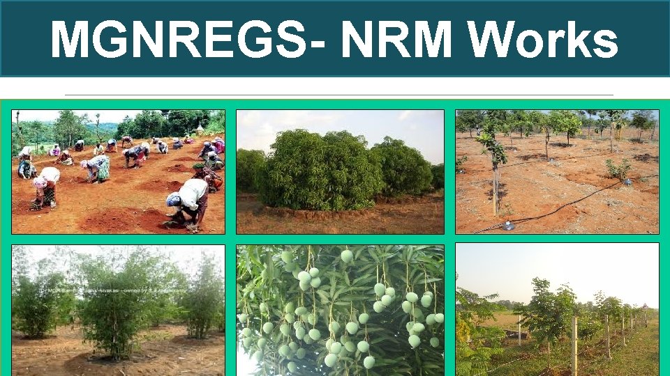 MGNREGS- NRM Works 