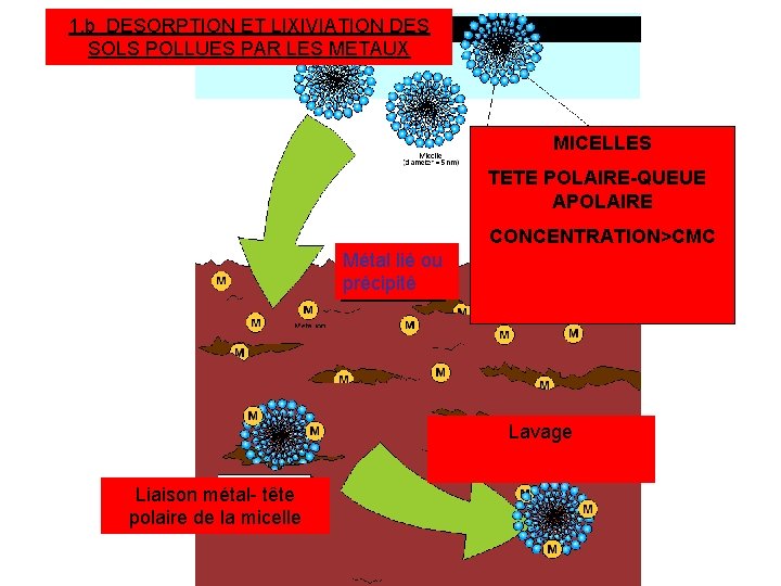 1. b DESORPTION ET LIXIVIATION DES SOLS POLLUES PAR LES METAUX MICELLES TETE POLAIRE-QUEUE