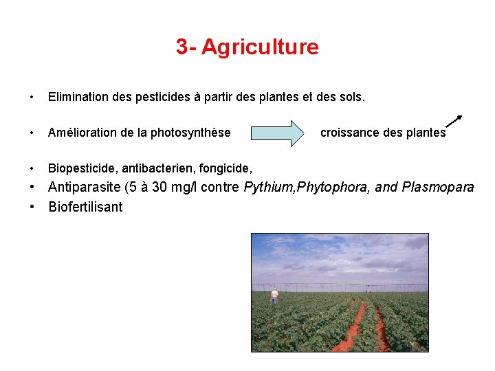 3 - Agriculture • Elimination des pesticides à partir des plantes et des sols.