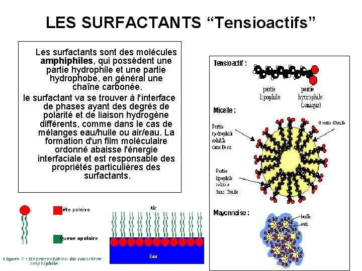 LES SURFACTANTS “Tensioactifs” Les surfactants sont des molécules amphiphiles, qui possèdent une partie hydrophile