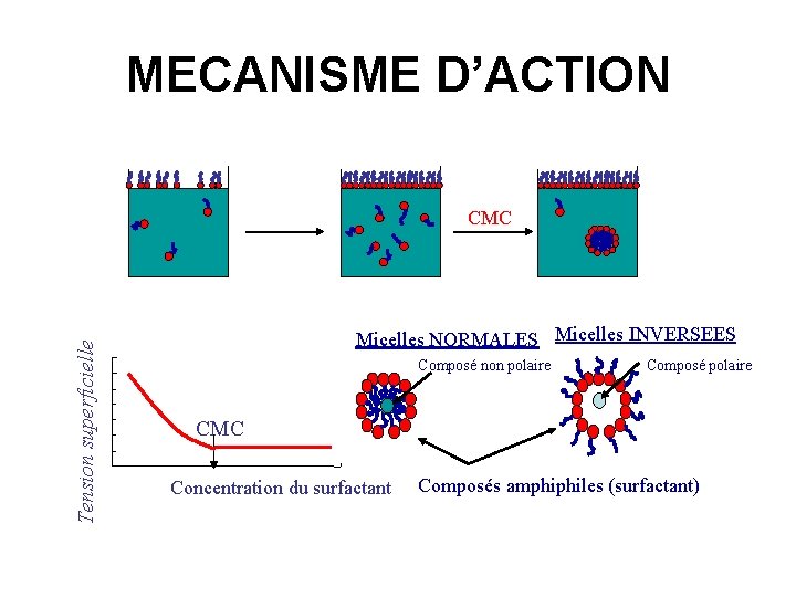 MECANISME D’ACTION Tension superficielle CMC 14 12 10 8 6 4 2 0 Micelles