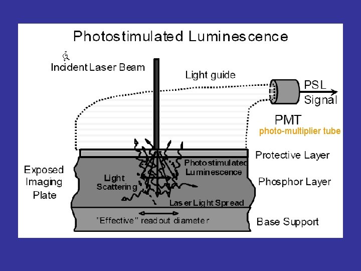 photo-multiplier tube 