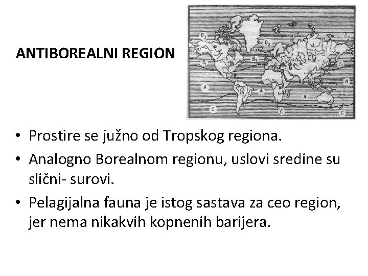 ANTIBOREALNI REGION • Prostire se južno od Tropskog regiona. • Analogno Borealnom regionu, uslovi ANTIBOREALNI REGION • Prostire se južno od Tropskog regiona. • Analogno Borealnom regionu, uslovi