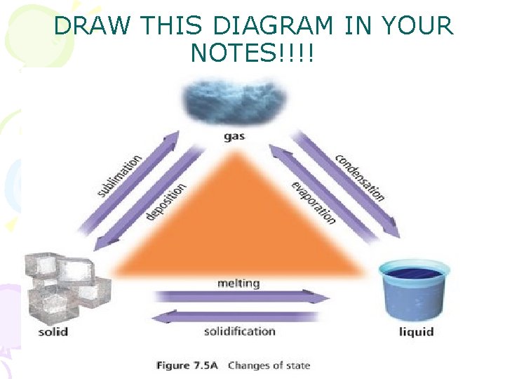 DRAW THIS DIAGRAM IN YOUR NOTES!!!! 