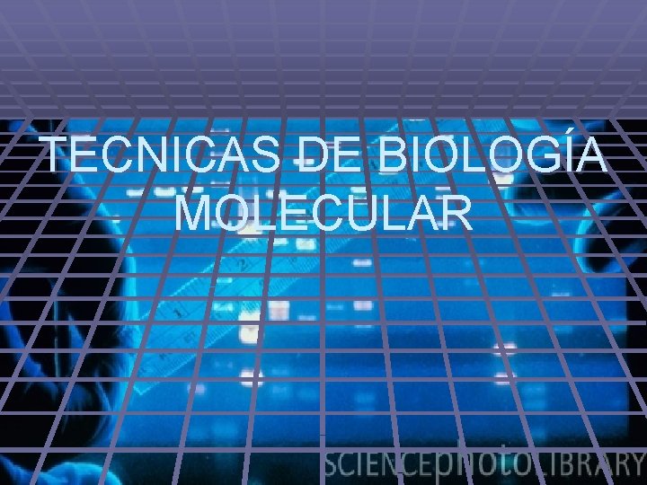 TECNICAS DE BIOLOGÍA MOLECULAR 