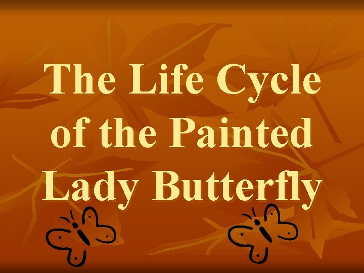 The Life Cycle of the Painted Lady Butterfly 