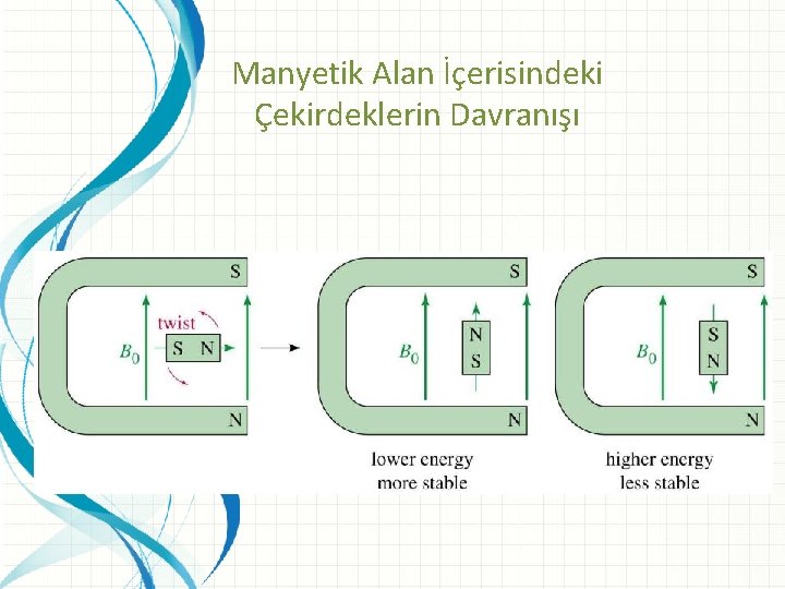 Manyetik Alan İçerisindeki Çekirdeklerin Davranışı 