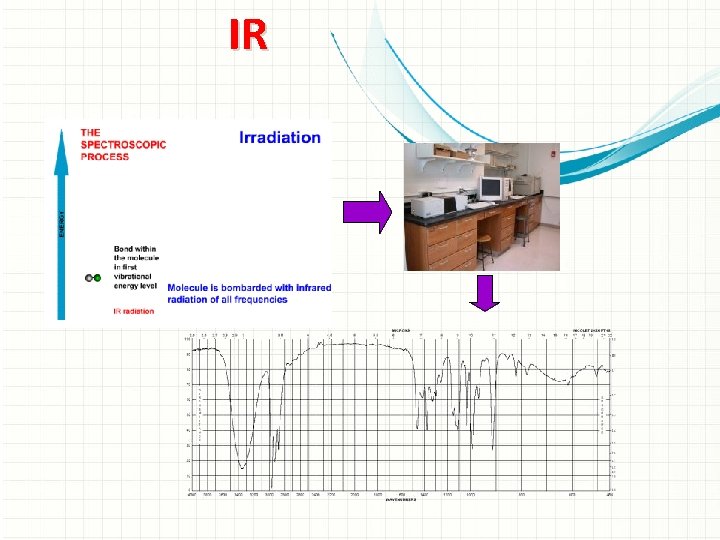 IR 