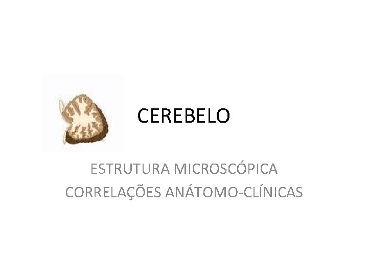 CEREBELO ESTRUTURA MICROSCÓPICA CORRELAÇÕES ANÁTOMO-CLÍNICAS 