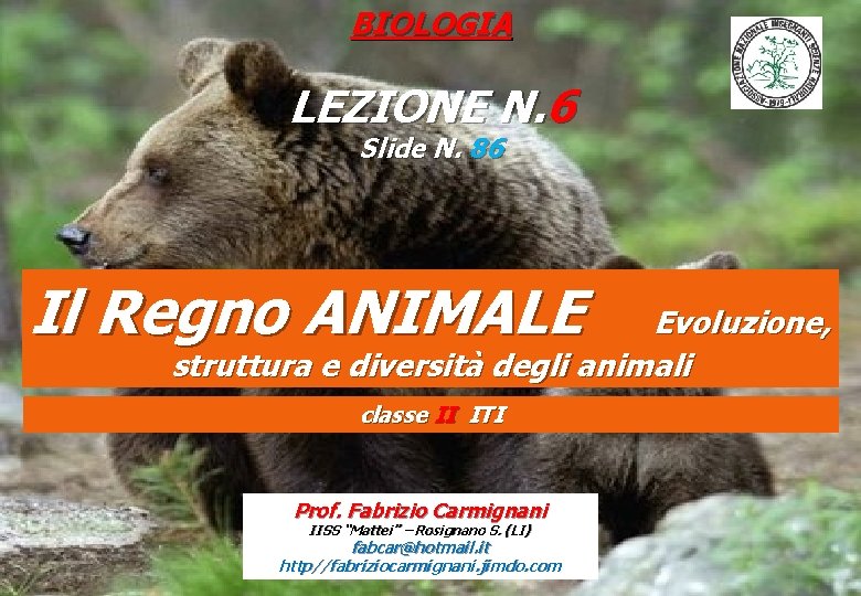 BIOLOGIA LEZIONE N. 6 Slide N. 86 Il Regno ANIMALE Evoluzione, struttura e diversità