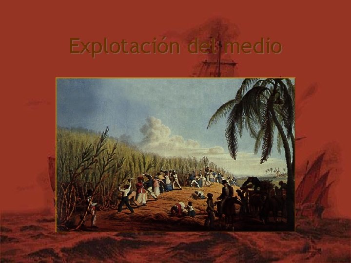 Explotación del medio 