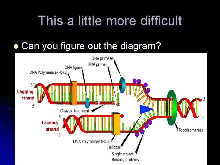 This a little more difficult l Can you figure out the diagram? 