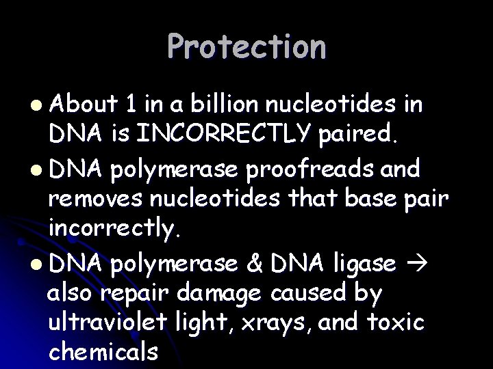 Protection l About 1 in a billion nucleotides in DNA is INCORRECTLY paired. l