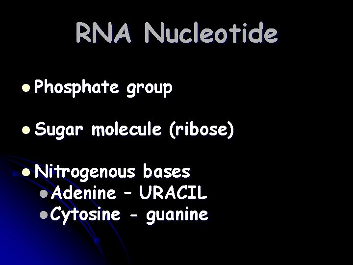 RNA Nucleotide l Phosphate l Sugar group molecule (ribose) l Nitrogenous bases l Adenine