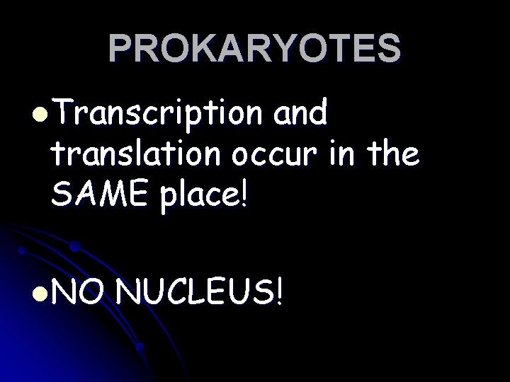 PROKARYOTES l. Transcription and translation occur in the SAME place! l. NO NUCLEUS! 