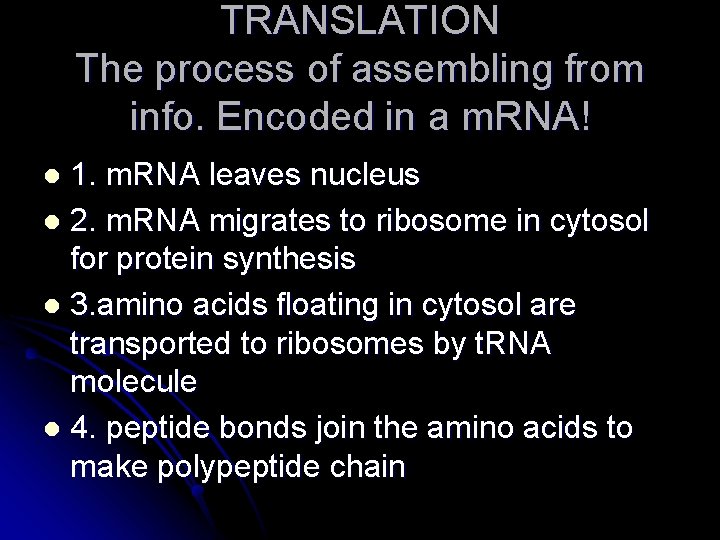 TRANSLATION The process of assembling from info. Encoded in a m. RNA! 1. m.