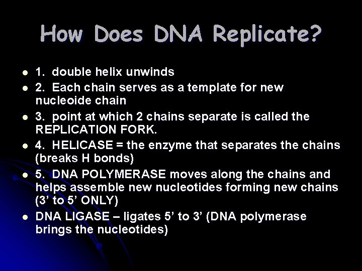 How Does DNA Replicate? l l l 1. double helix unwinds 2. Each chain