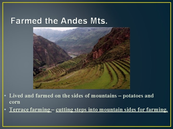 Farmed the Andes Mts. • Lived and farmed on the sides of mountains –