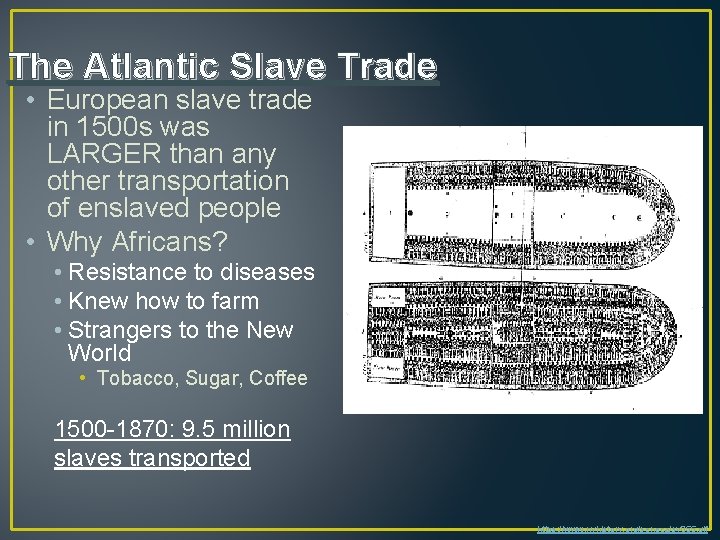 The Atlantic Slave Trade • European slave trade in 1500 s was LARGER than