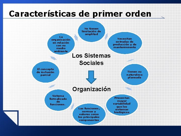 Características de primer orden La organización en relación con su medio ambiente No tienen Características de primer orden La organización en relación con su medio ambiente No tienen