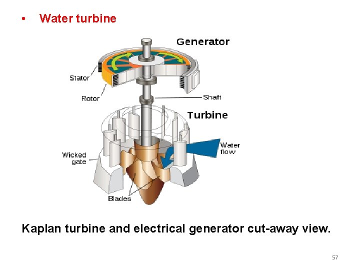 • Water turbine Kaplan turbine and electrical generator cut-away view. 57 • Water turbine Kaplan turbine and electrical generator cut-away view. 57