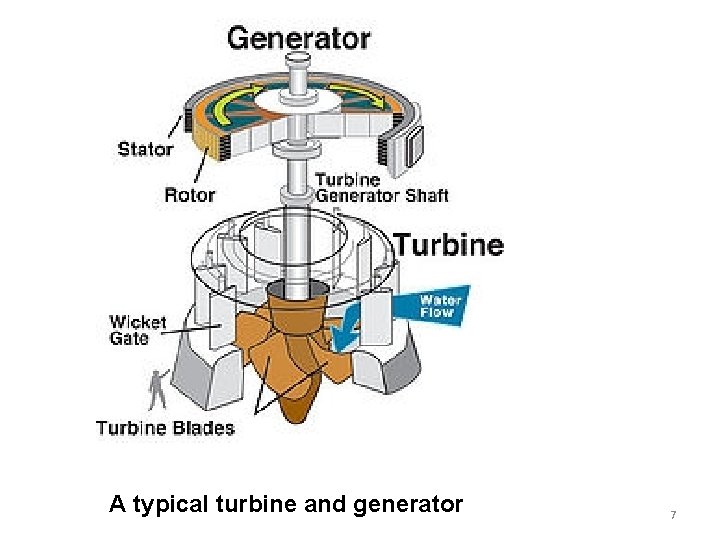 A typical turbine and generator 7 A typical turbine and generator 7