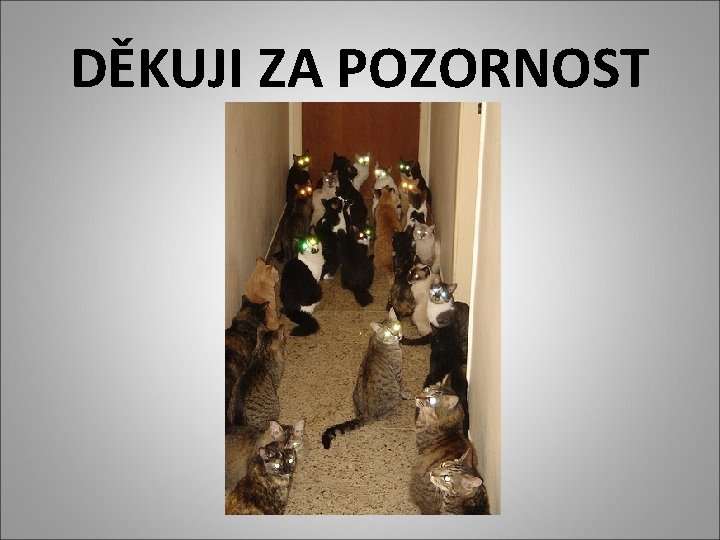 DĚKUJI ZA POZORNOST DĚKUJI ZA POZORNOST
