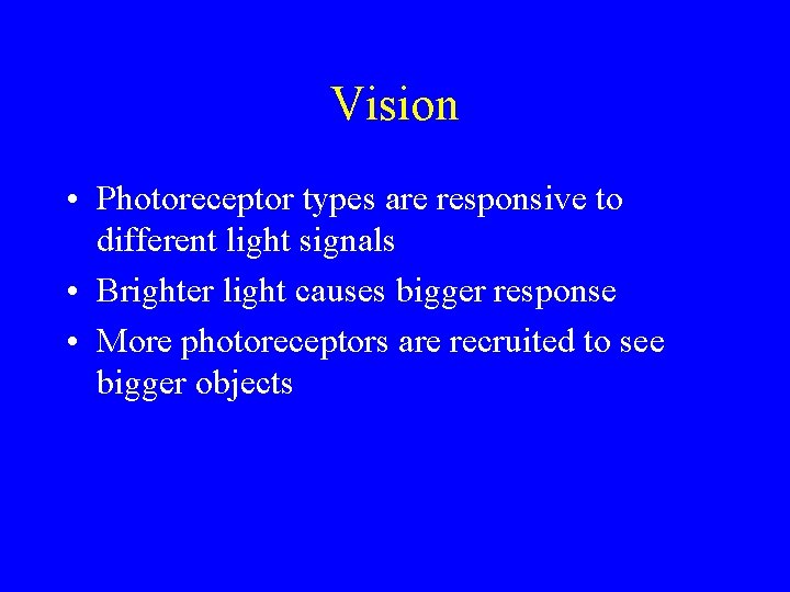 Vision • Photoreceptor types are responsive to different light signals • Brighter light causes